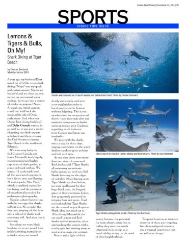 thumbnail of ORP-20211224_Bermant Shark Diving